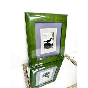 Vintage Green framed Cat Photograph From 86’